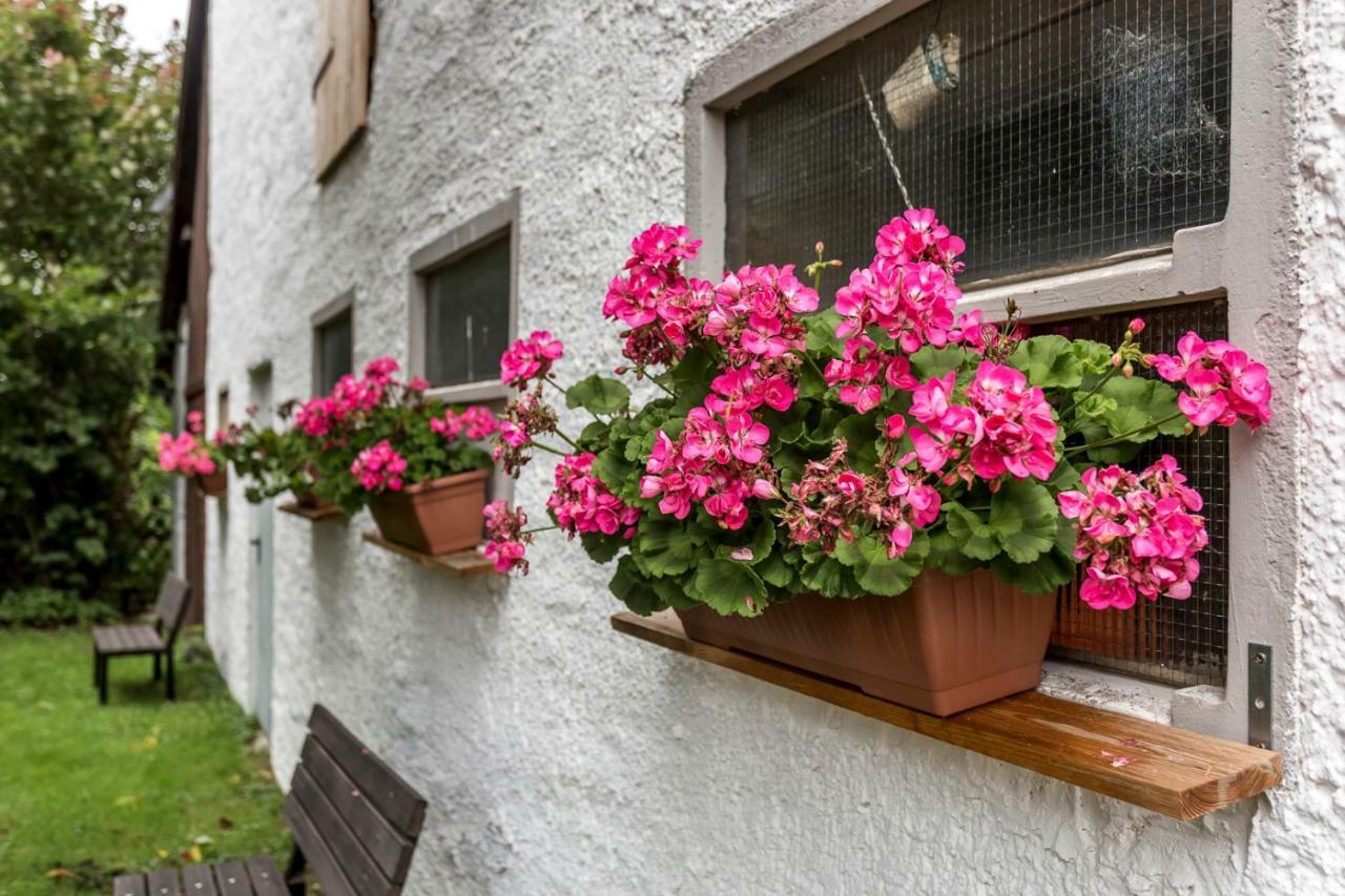 Villa Pure Eifel Oberkail Exterior foto